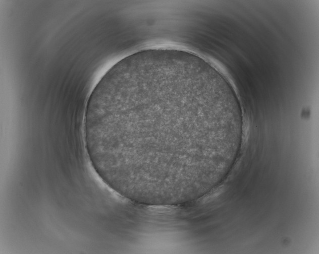 X0000114690863200911181252