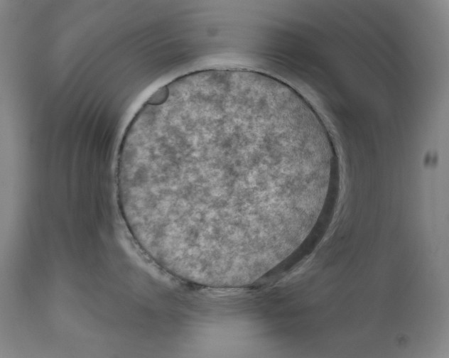 X0000114690864200911181252