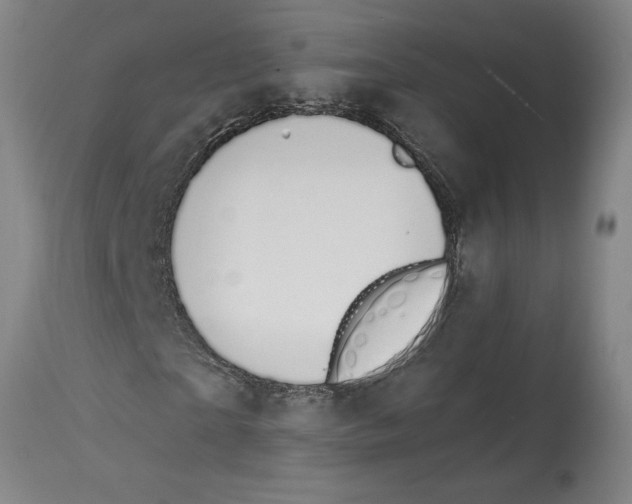 X0000114690865200911181251