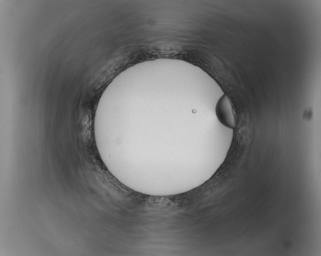 X0000114690866200911181251