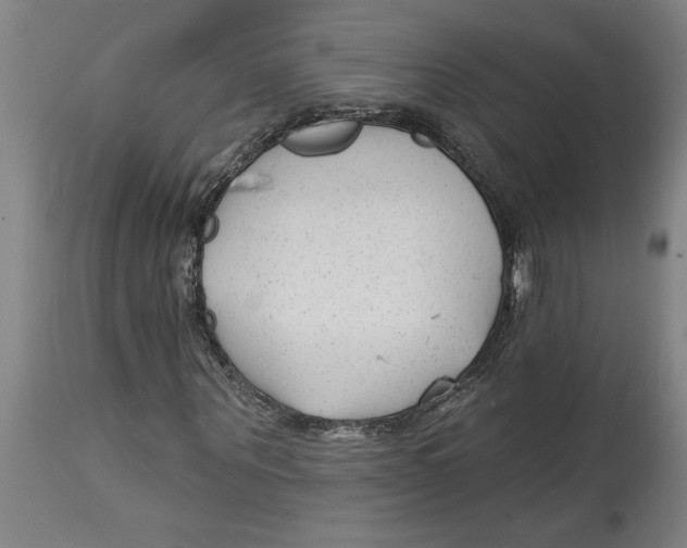 X0000114690867200911181251