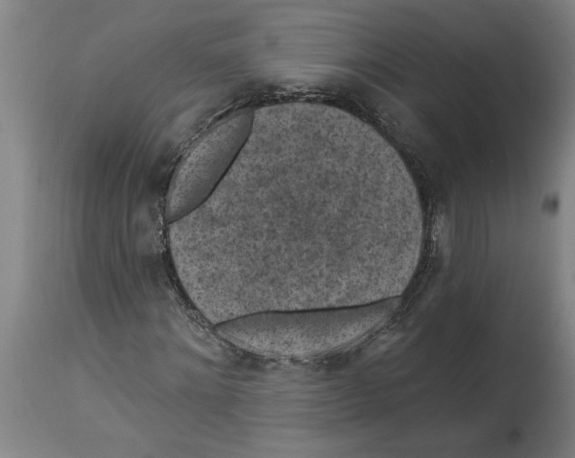 X0000114690868200911181251