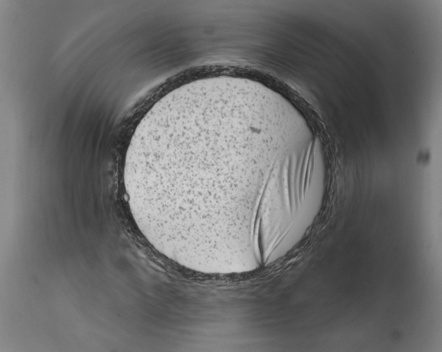 X0000114690872200911181251