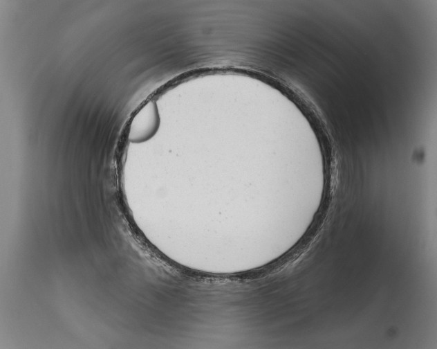 X0000114690876200911181251