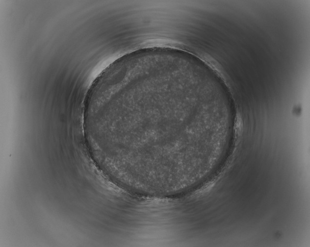 X0000114690877200911181251