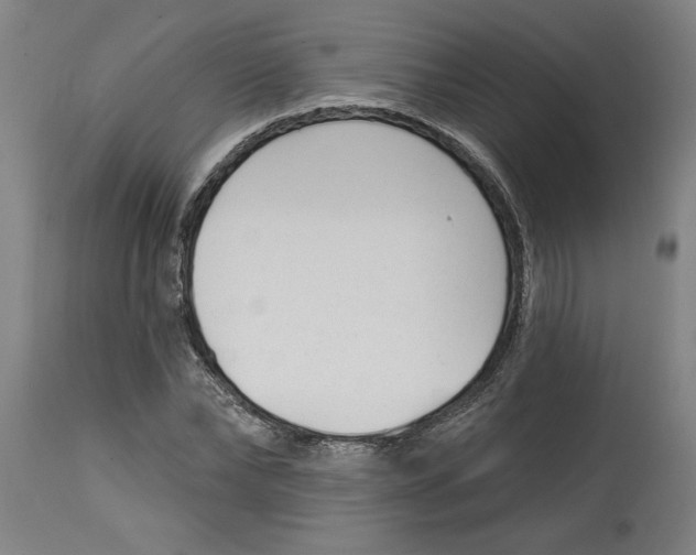 X0000114690878200911181251