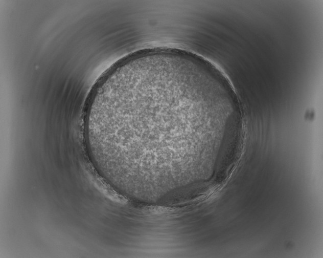 X0000114690879200911181251