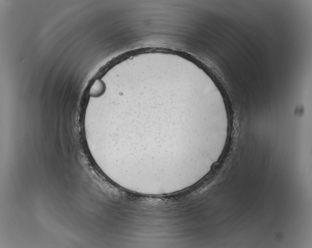 X0000114690880200911181251