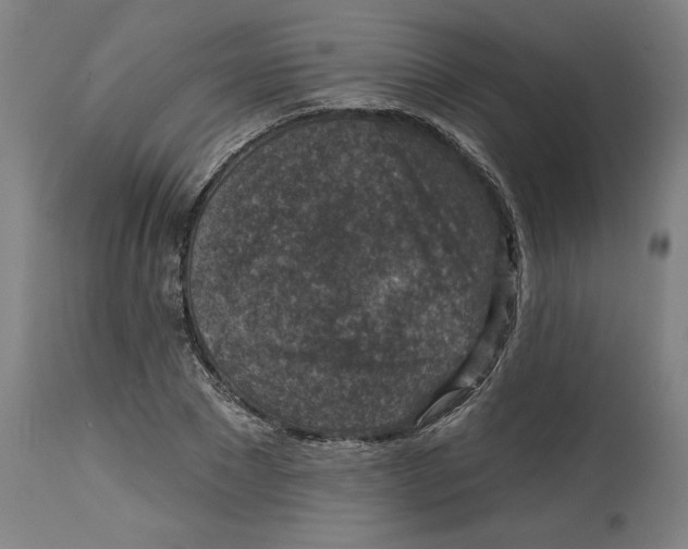 X0000114690881200911181251