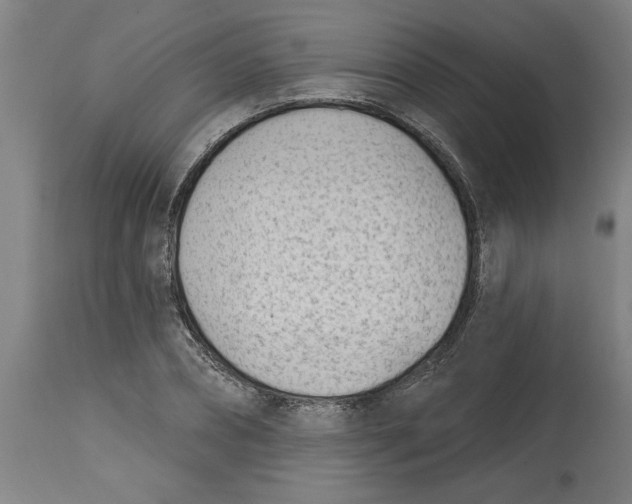 X0000114690882200911181251