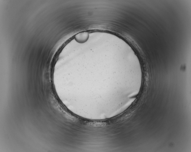 X0000114690884200911181251