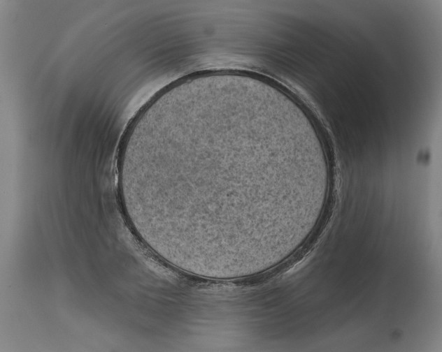 X0000114690885200911181251