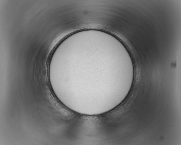 X0000114690886200911181251