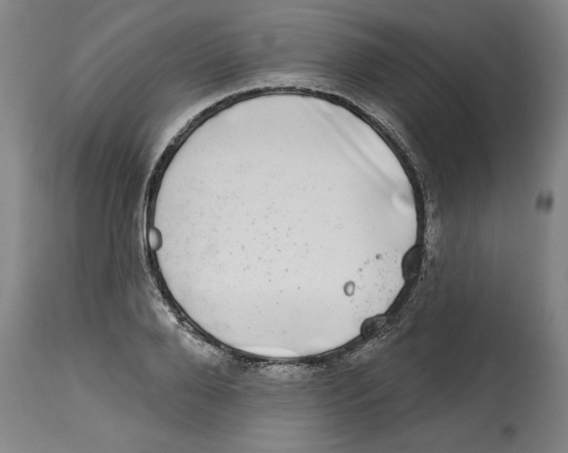 X0000114690888200911181251