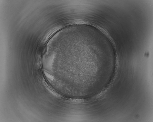 X0000114690889200911181251