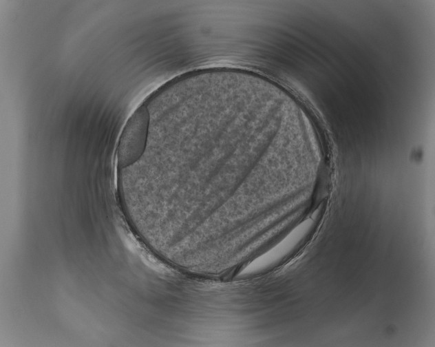 X0000114690892200911181251