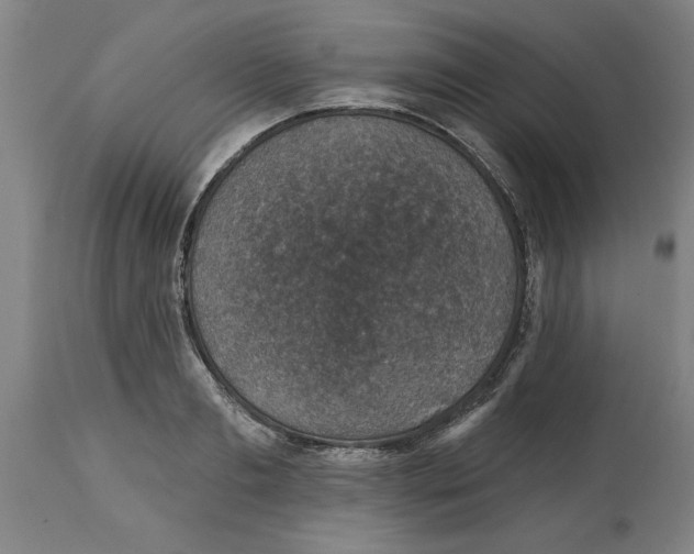 X0000114690893200911181251