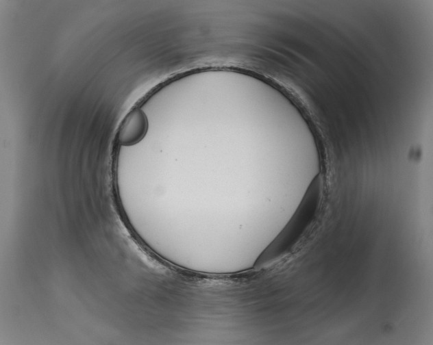 X0000114690894200911181251