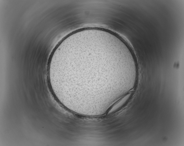 X0000114690895200911181251