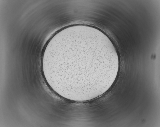 X0000114690896200911181251