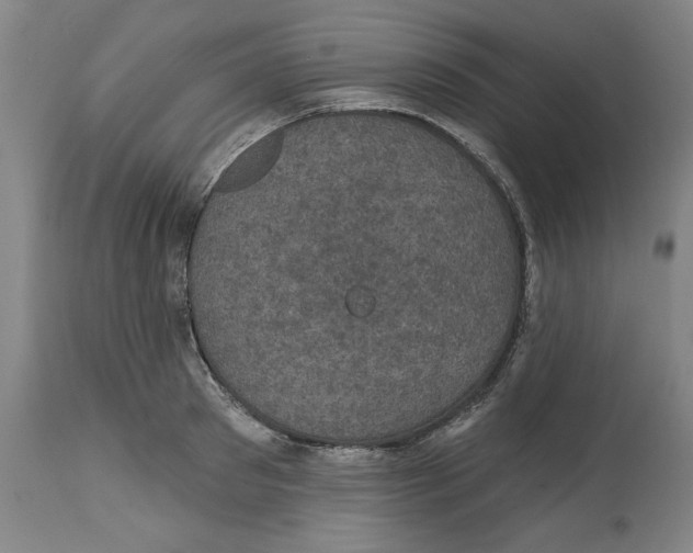 X0000114690897200911181251