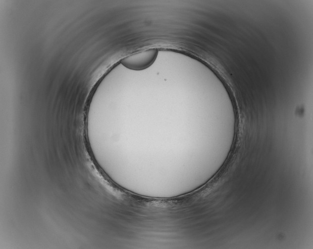 X0000114690898200911181251