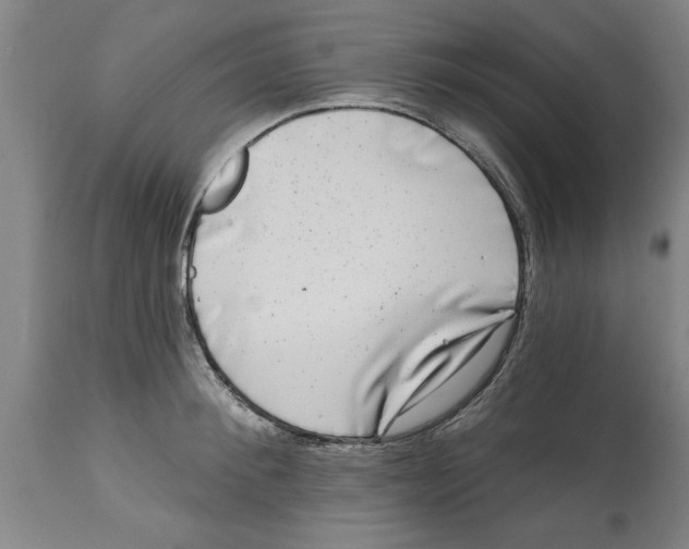 X0000114690900200911181251