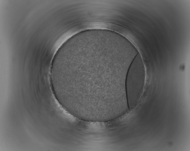 X0000114690901200911181251