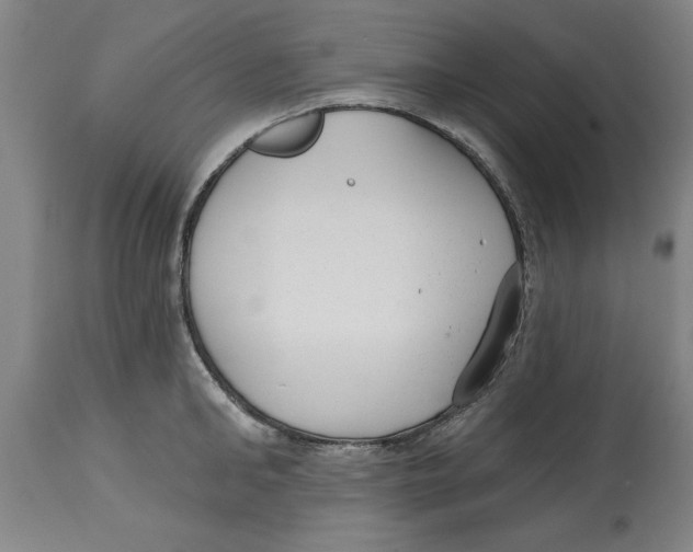 X0000114690902200911181251