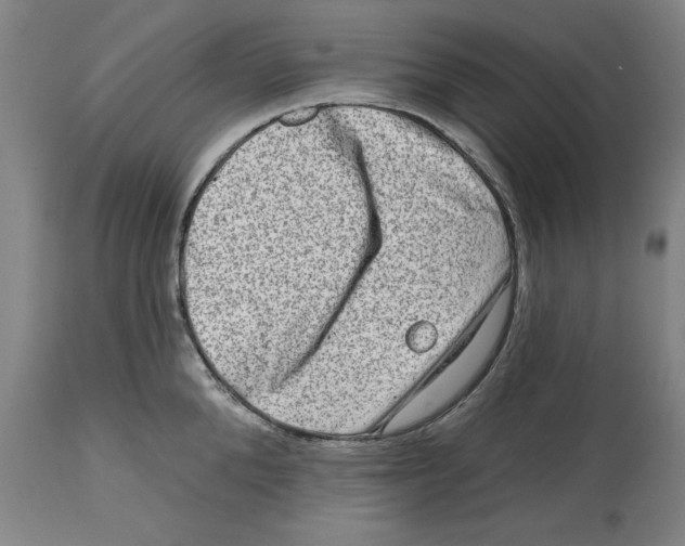 X0000114690904200911181251