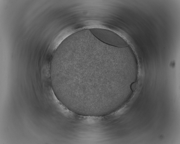 X0000114690905200911181251