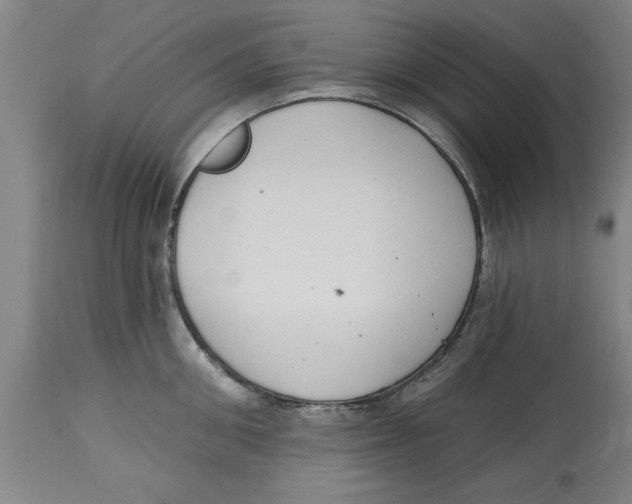 X0000114690906200911181250