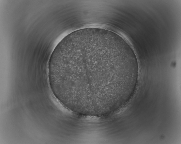 X0000114690907200911181250