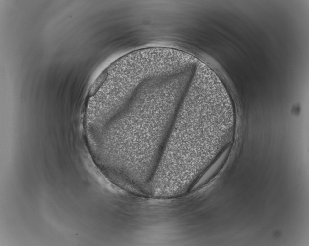 X0000114690908200911181250