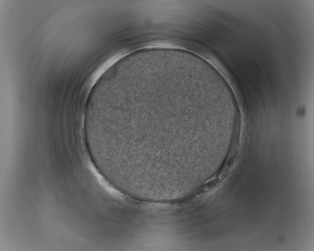 X0000114690909200911181250