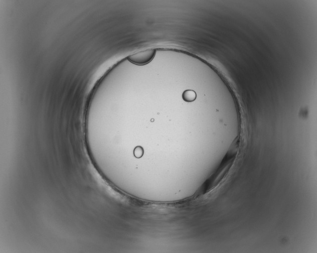 X0000114690910200911181250