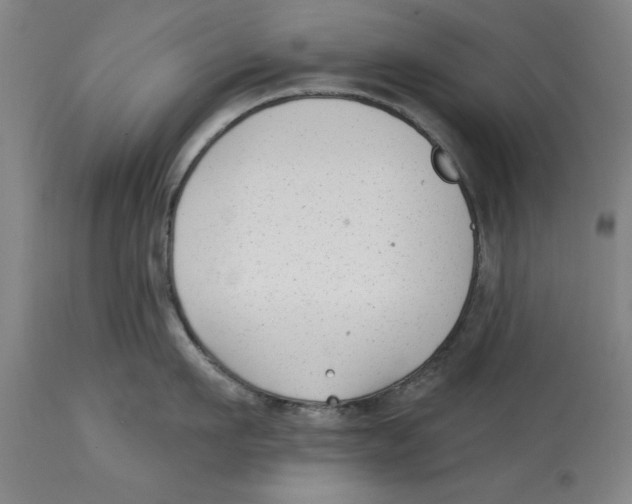 X0000114690911200911181250