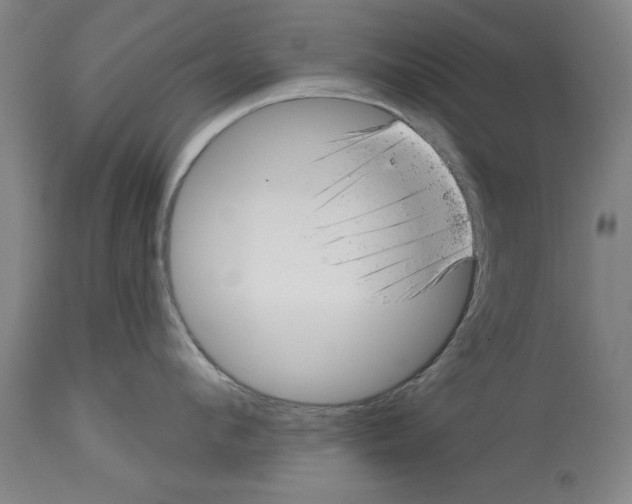 X0000114690912200911181250