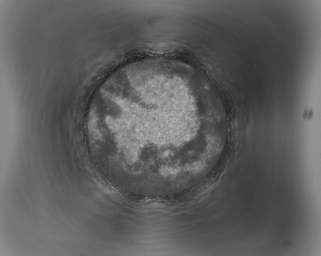 X0000114690913200911181250