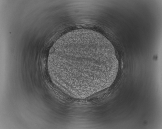 X0000114690915200911181250