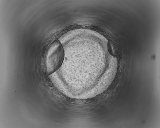 X0000114690917200911181250