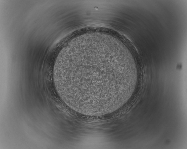 X0000114690919200911181250