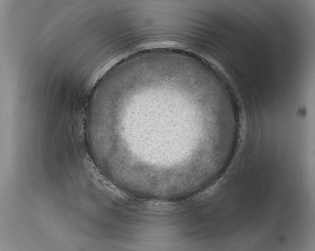 X0000114690921200911181250