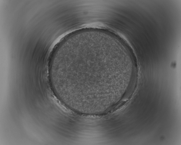 X0000114690923200911181250