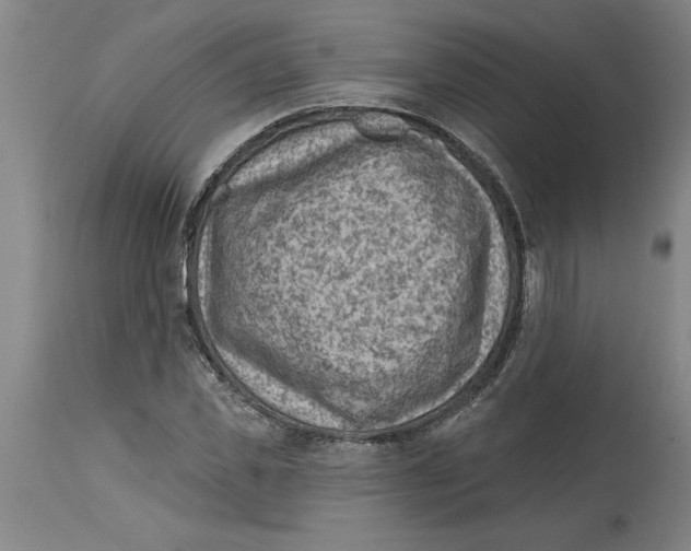 X0000114690925200911181250