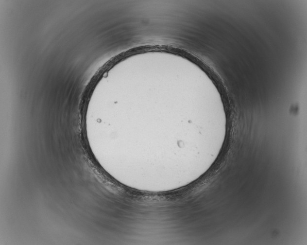 X0000114690927200911181250