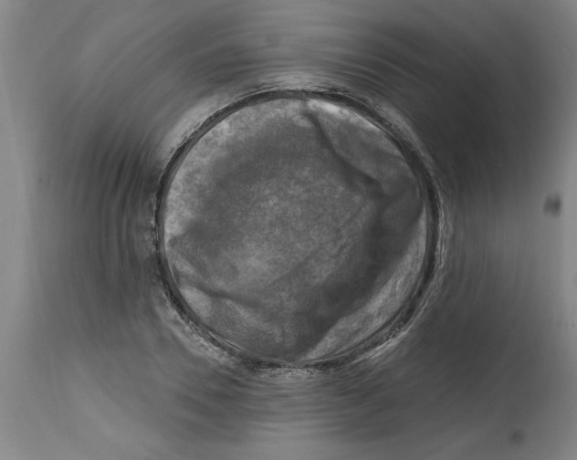 X0000114690930200911181250