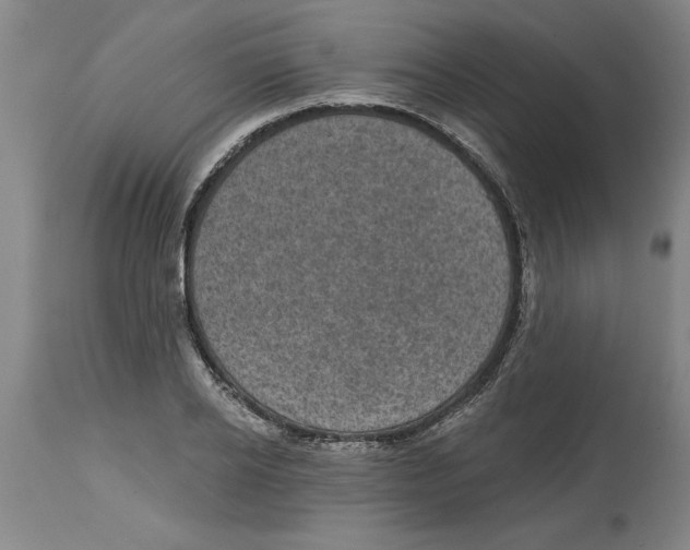 X0000114690934200911181250