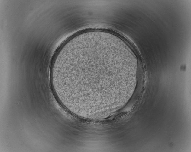 X0000114690935200911181250