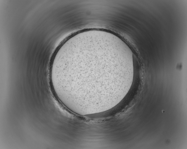 X0000114690942200911181250